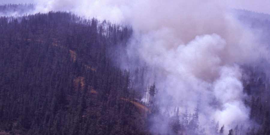 Wildfires Test the Pacific Northwest’s Disaster Preparedness